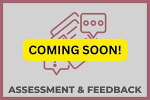 Assessment & Feedback button