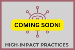 High-Impact Practices button