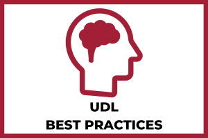 UDL best practices button