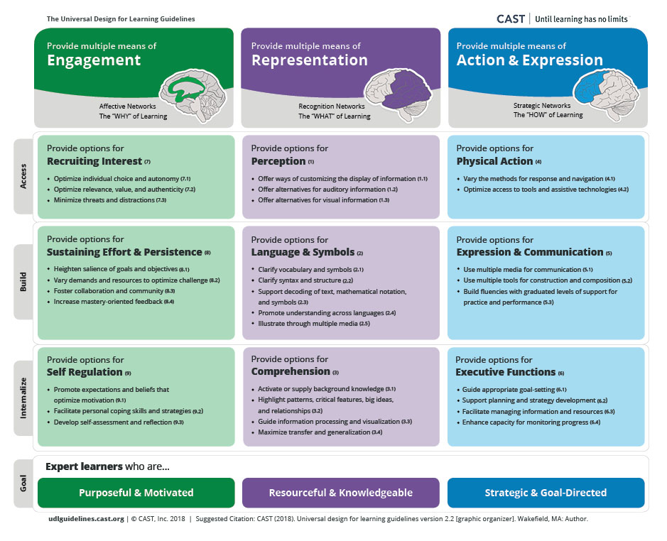 Universal Design for Learning Guidelines chart