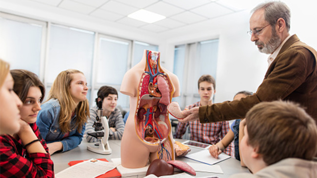 A man standing in front of a classroom, pointing to a diagram of the human body on a whiteboard, surrounded by attentive students.